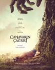 Canavarın Çağrısı | A Monster Calls